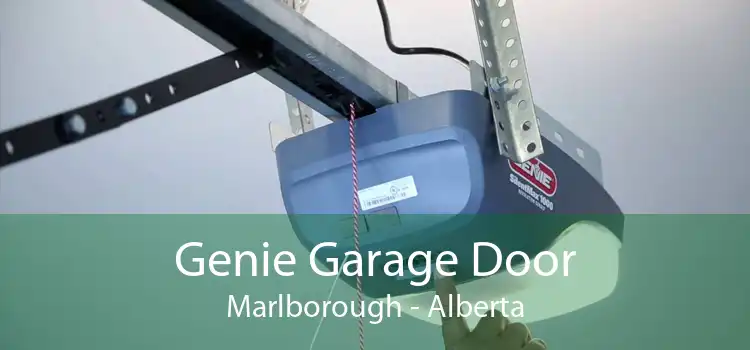 Genie Garage Door Marlborough - Alberta
