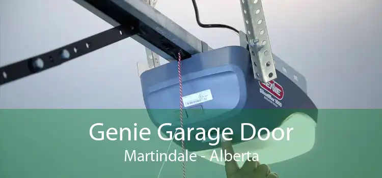 Genie Garage Door Martindale - Alberta
