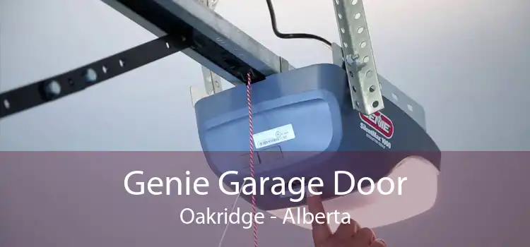 Genie Garage Door Oakridge - Alberta