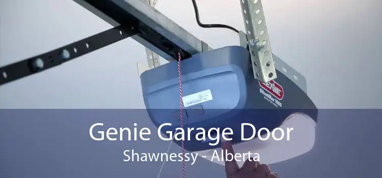 Genie Garage Door Shawnessy - Alberta