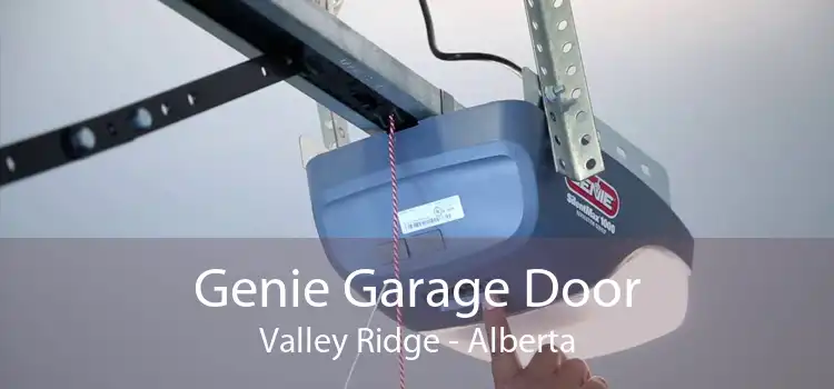 Genie Garage Door Valley Ridge - Alberta