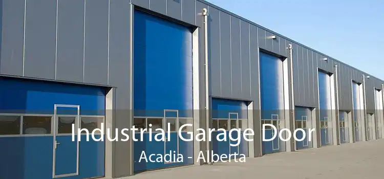 Industrial Garage Door Acadia - Alberta