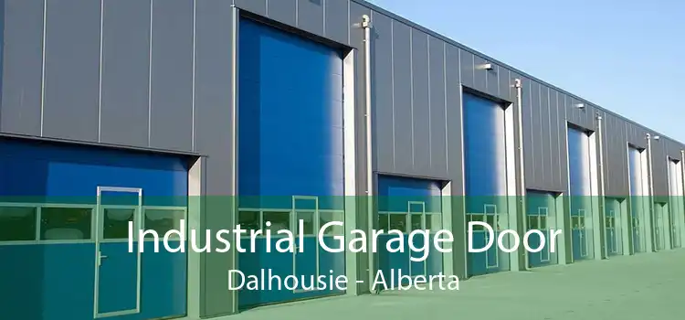 Industrial Garage Door Dalhousie - Alberta