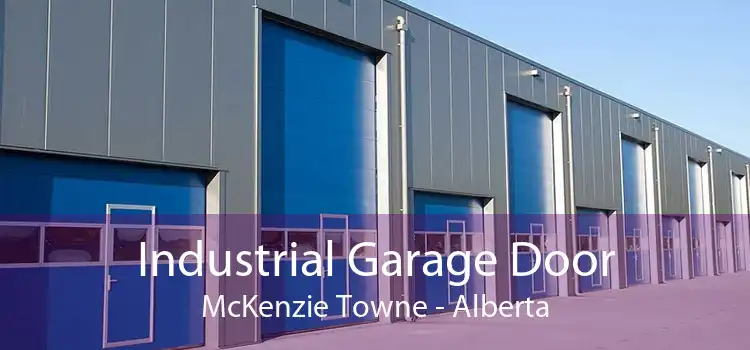 Industrial Garage Door McKenzie Towne - Alberta