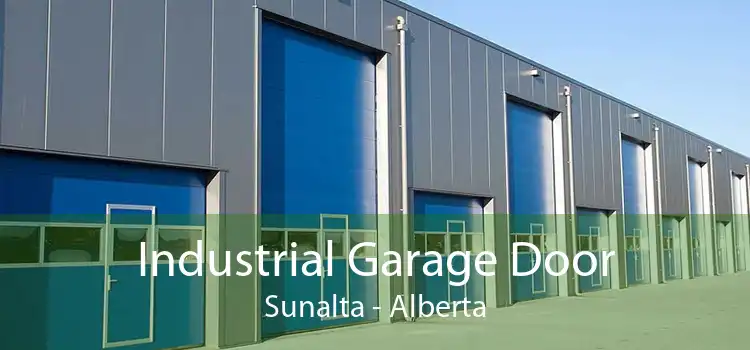 Industrial Garage Door Sunalta - Alberta