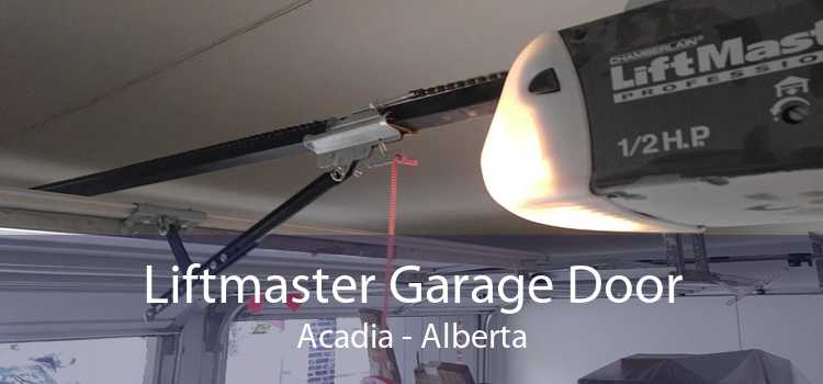 Liftmaster Garage Door Acadia - Alberta