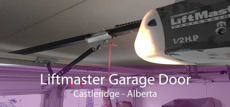 Liftmaster Garage Door Castleridge - Alberta
