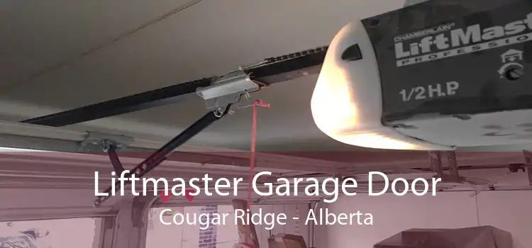 Liftmaster Garage Door Cougar Ridge - Alberta