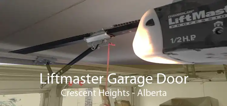 Liftmaster Garage Door Crescent Heights - Alberta