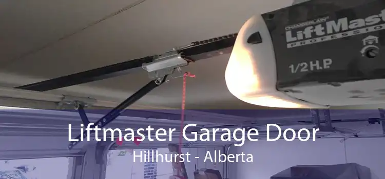 Liftmaster Garage Door Hillhurst - Alberta