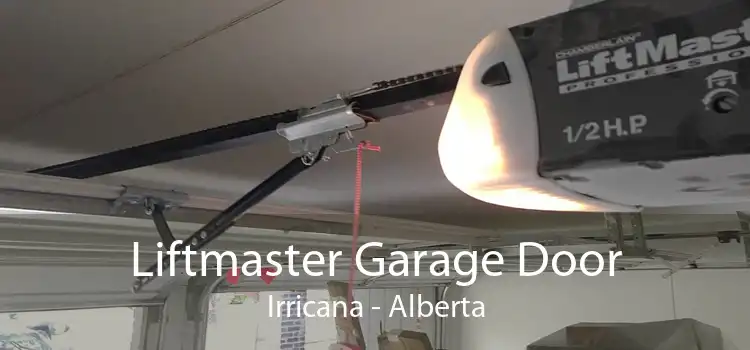 Liftmaster Garage Door Irricana - Alberta