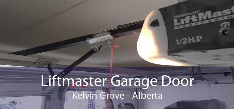 Liftmaster Garage Door Kelvin Grove - Alberta