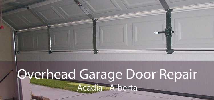 Overhead Garage Door Repair Acadia - Alberta