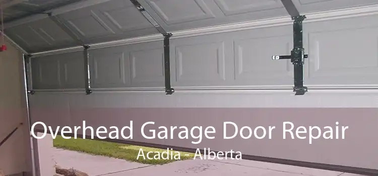 Overhead Garage Door Repair Acadia - Alberta