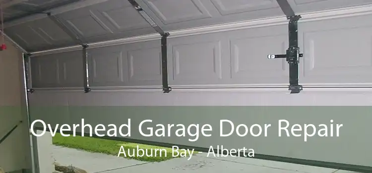 Overhead Garage Door Repair Auburn Bay - Alberta