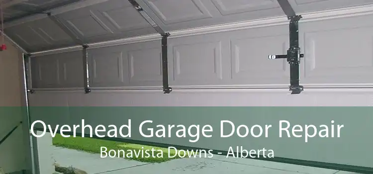 Overhead Garage Door Repair Bonavista Downs - Alberta