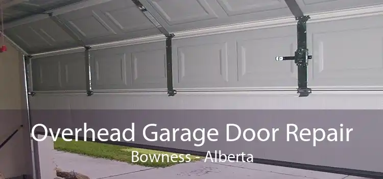 Overhead Garage Door Repair Bowness - Alberta