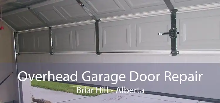 Overhead Garage Door Repair Briar Hill - Alberta