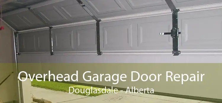 Overhead Garage Door Repair Douglasdale - Alberta