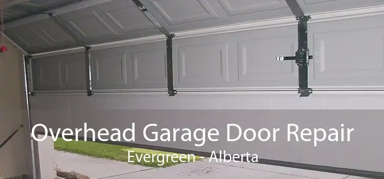 Overhead Garage Door Repair Evergreen - Alberta