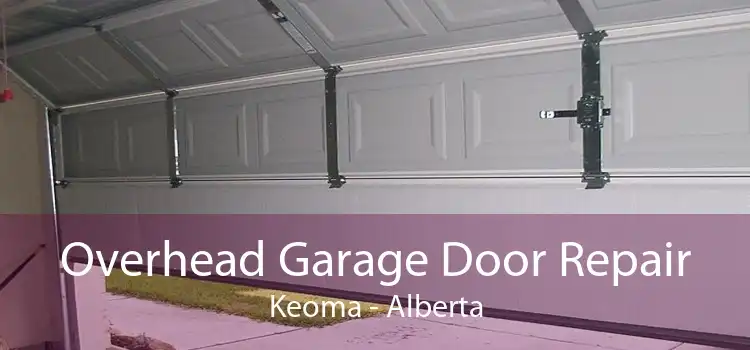Overhead Garage Door Repair Keoma - Alberta