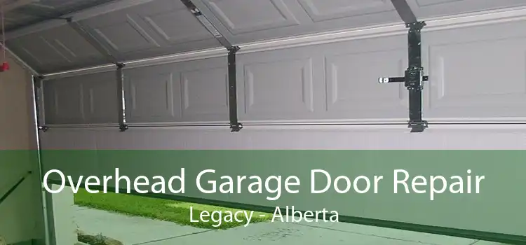 Overhead Garage Door Repair Legacy - Alberta