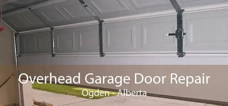 Overhead Garage Door Repair Ogden - Alberta