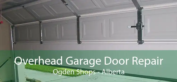 Overhead Garage Door Repair Ogden Shops - Alberta