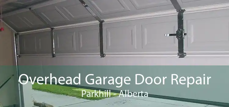 Overhead Garage Door Repair Parkhill - Alberta