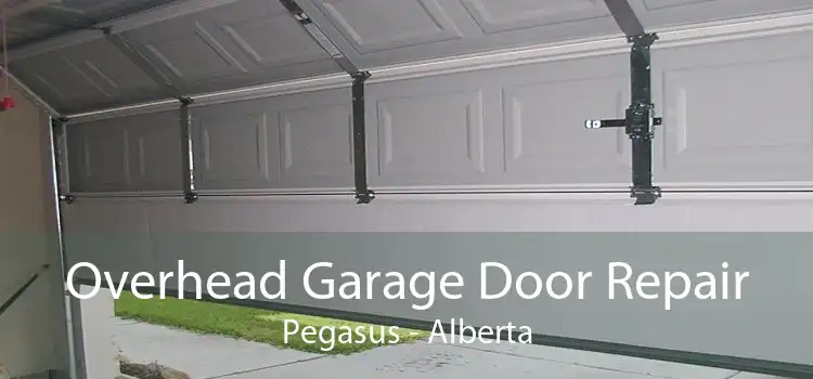 Overhead Garage Door Repair Pegasus - Alberta