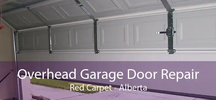 Overhead Garage Door Repair Red Carpet - Alberta