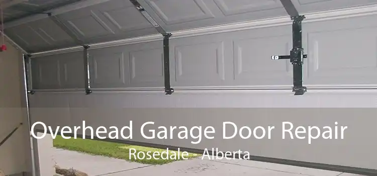 Overhead Garage Door Repair Rosedale - Alberta