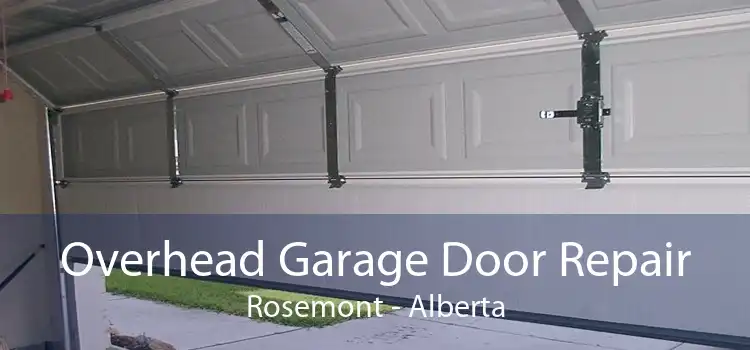 Overhead Garage Door Repair Rosemont - Alberta