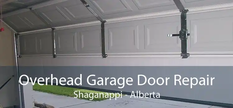 Overhead Garage Door Repair Shaganappi - Alberta