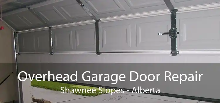 Overhead Garage Door Repair Shawnee Slopes - Alberta