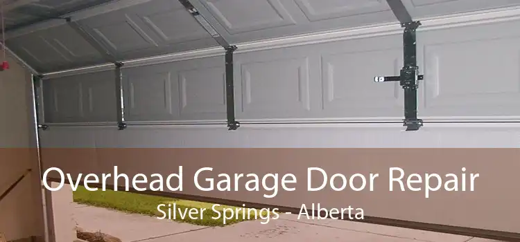 Overhead Garage Door Repair Silver Springs - Alberta