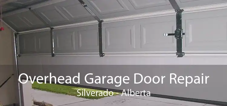 Overhead Garage Door Repair Silverado - Alberta