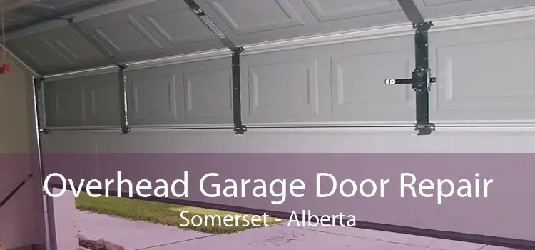 Overhead Garage Door Repair Somerset - Alberta