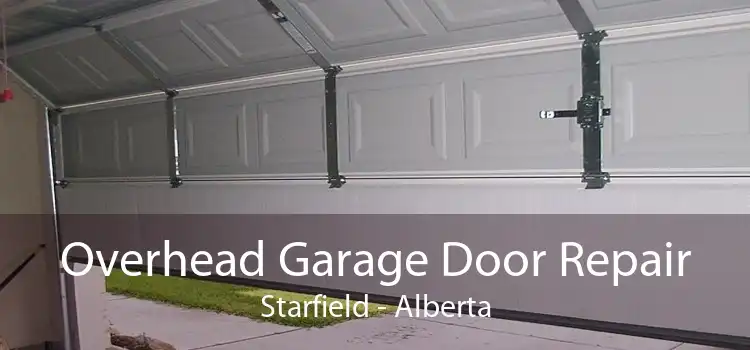 Overhead Garage Door Repair Starfield - Alberta