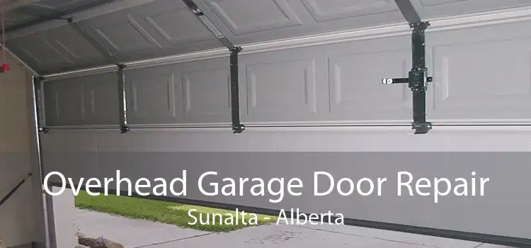 Overhead Garage Door Repair Sunalta - Alberta