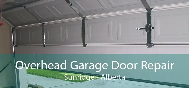 Overhead Garage Door Repair Sunridge - Alberta