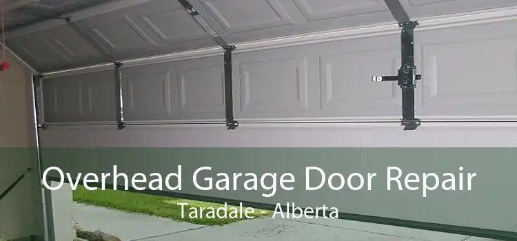 Overhead Garage Door Repair Taradale - Alberta