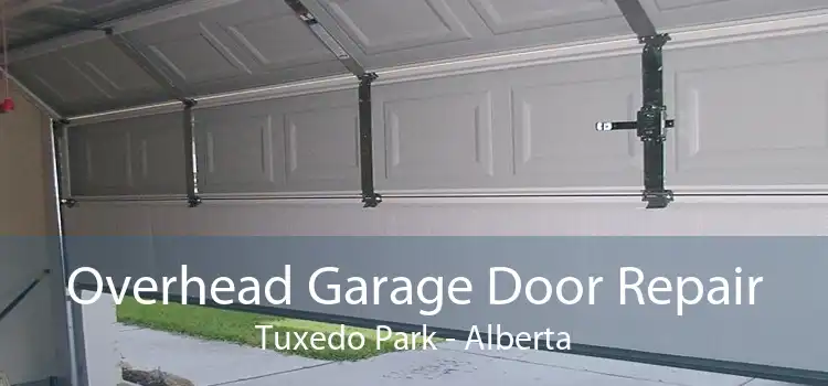 Overhead Garage Door Repair Tuxedo Park - Alberta