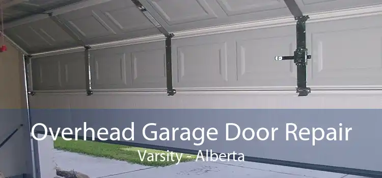 Overhead Garage Door Repair Varsity - Alberta