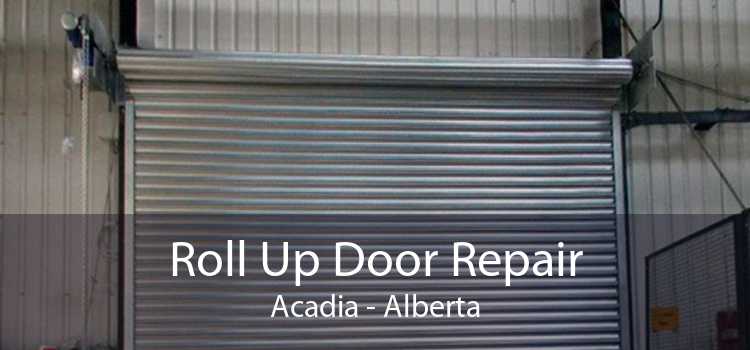 Roll Up Door Repair Acadia - Alberta