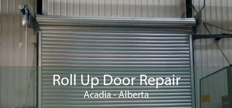 Roll Up Door Repair Acadia - Alberta
