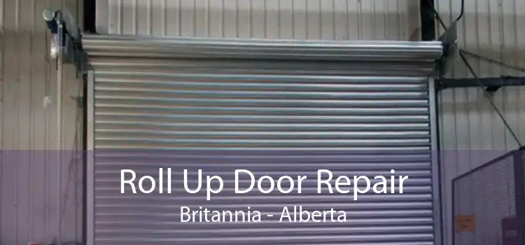 Roll Up Door Repair Britannia - Alberta