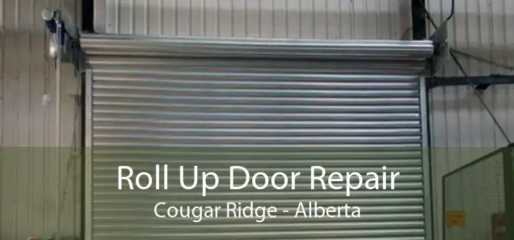 Roll Up Door Repair Cougar Ridge - Alberta
