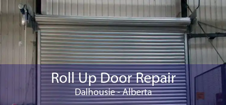 Roll Up Door Repair Dalhousie - Alberta