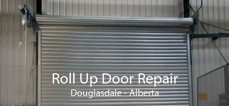 Roll Up Door Repair Douglasdale - Alberta